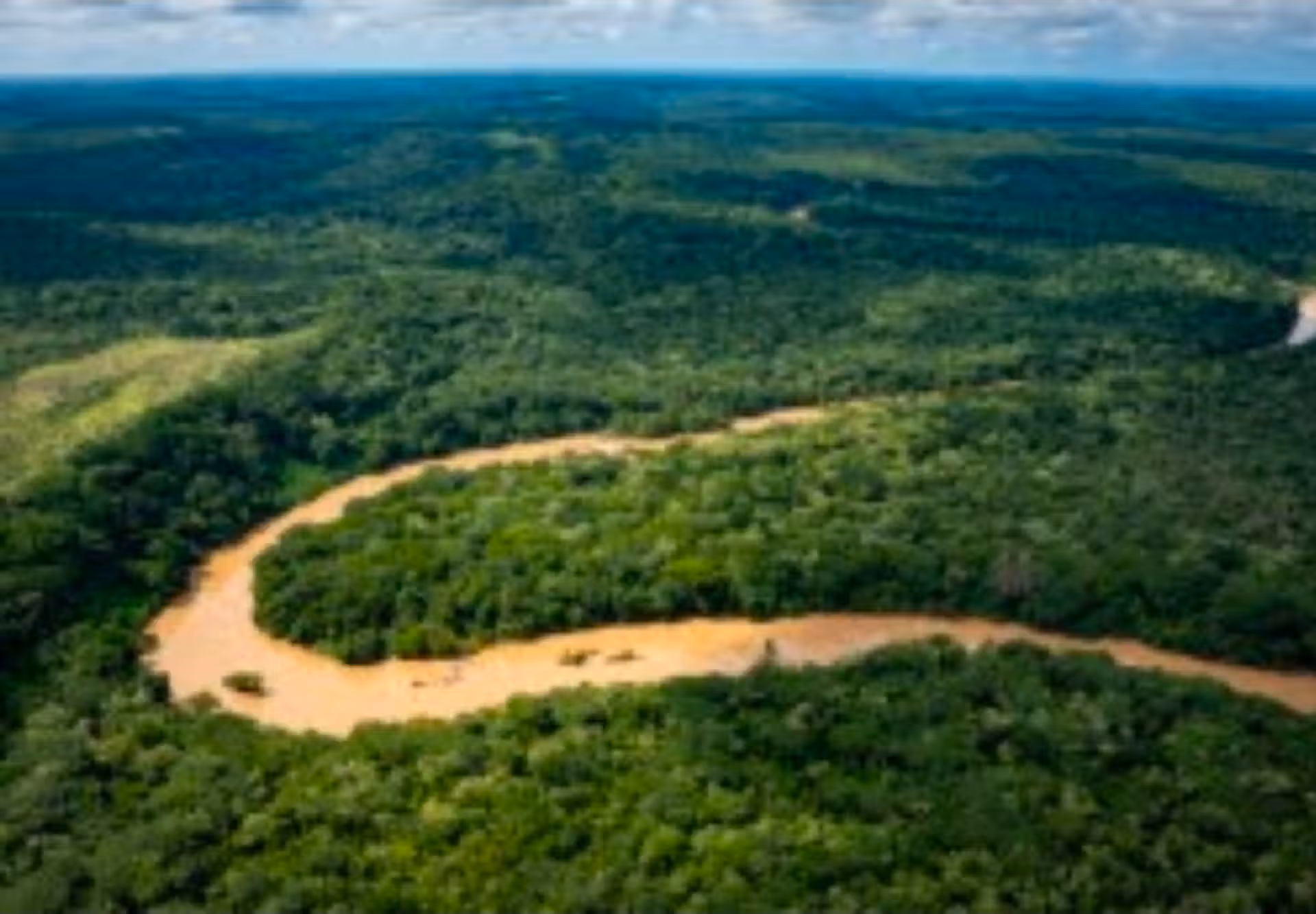Biodiversité : Explorez les actions menées au sein de l’Aire de Conservation de Chinko durant les mois de mai et juin 2026 screenshot 20260611 112640 whatsapp